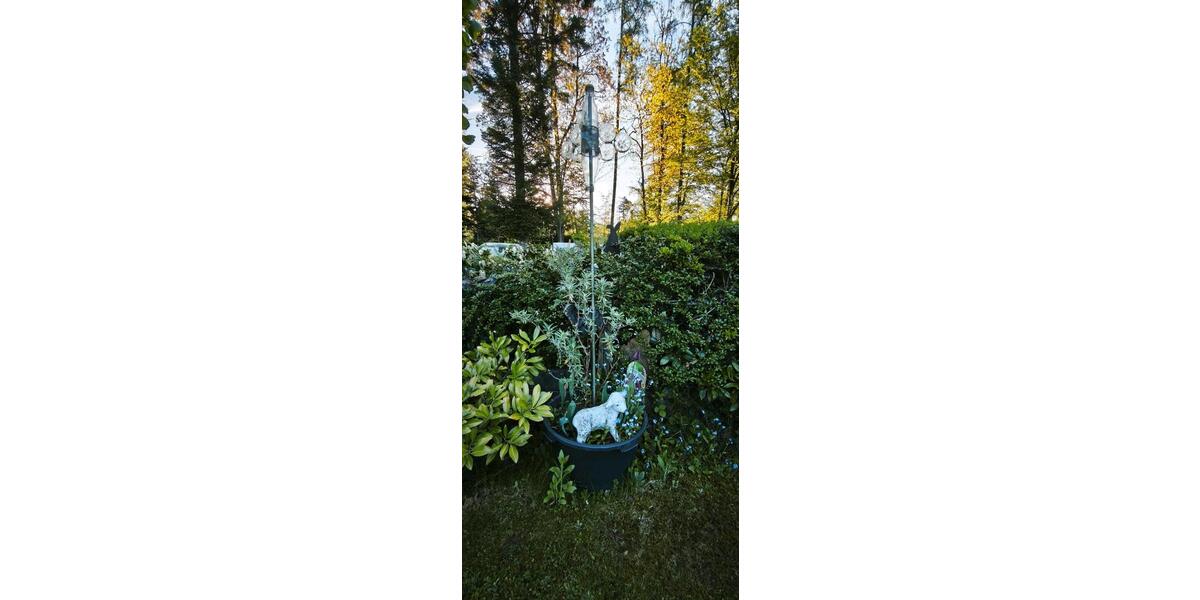 Bungalow Neuhausen - 3 Zimmer, 70 m&sup2;, 320.000&euro; | Angebot:26522170