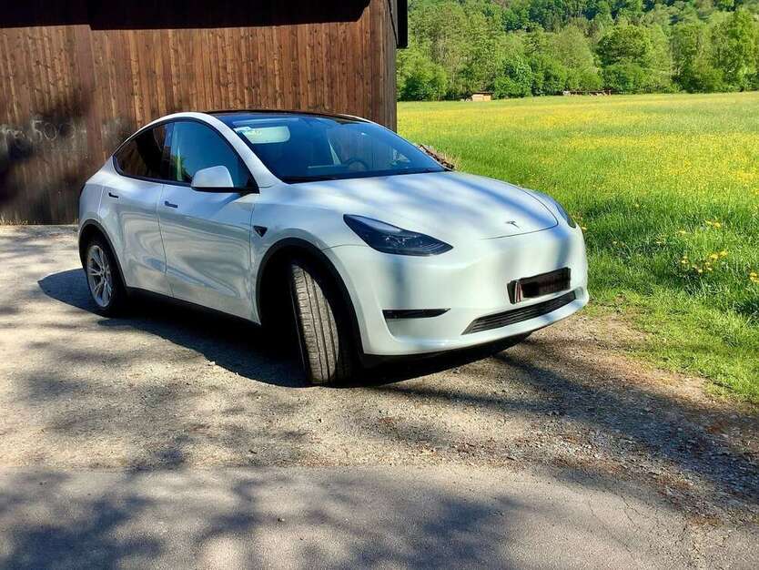 Model Y