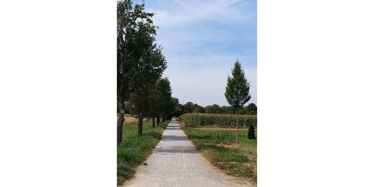 Etagenwohnung Stuttgart-Möhringen Möhringen - 2 Zimmer, 54 m&sup2;, 950&euro; | Angebot:25479941