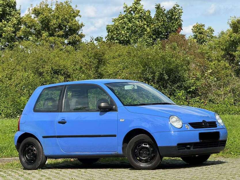 Lupo