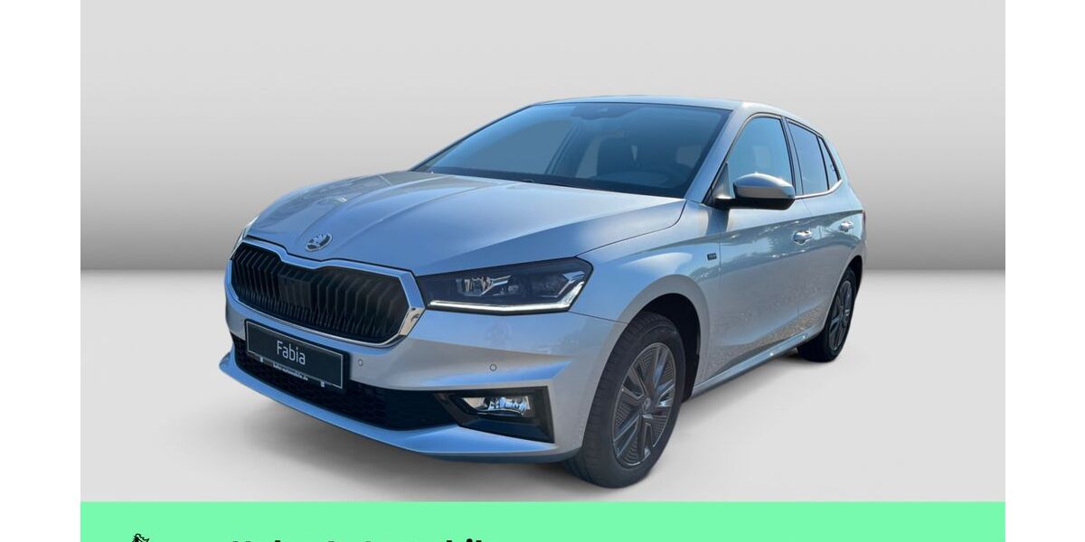 Skoda Fabia 2.500 km 21.990 € Weinstadt-Endersbach 71384