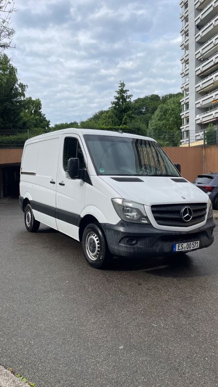 Sprinter