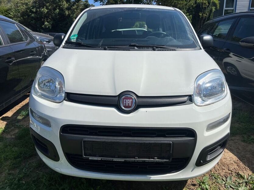 Panda