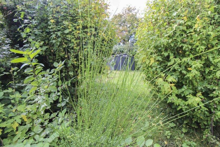 Einzigartiges Reihenhaus mit großem Garten in sehr guter Lage in Ebersbach an der Fils