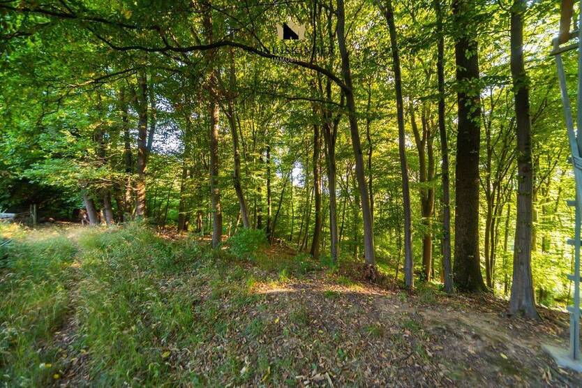 ** Unberührte Natur in bester Lage - 5 Grundstücke **