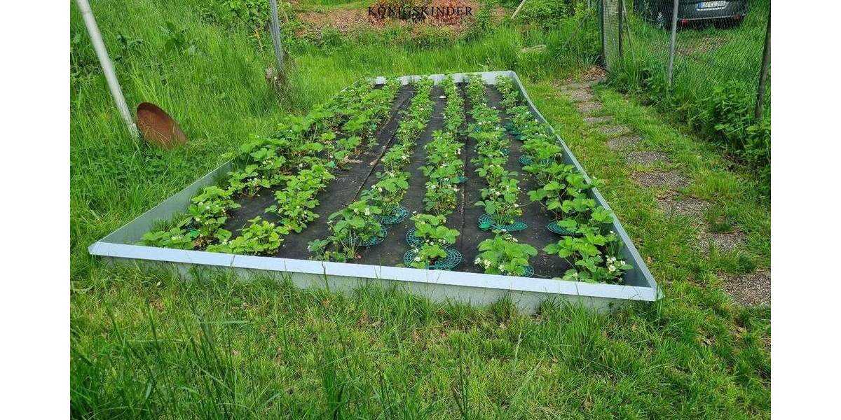 Ein fruchtbares Fleckchen Erde für Ihre Erholung... zimmer