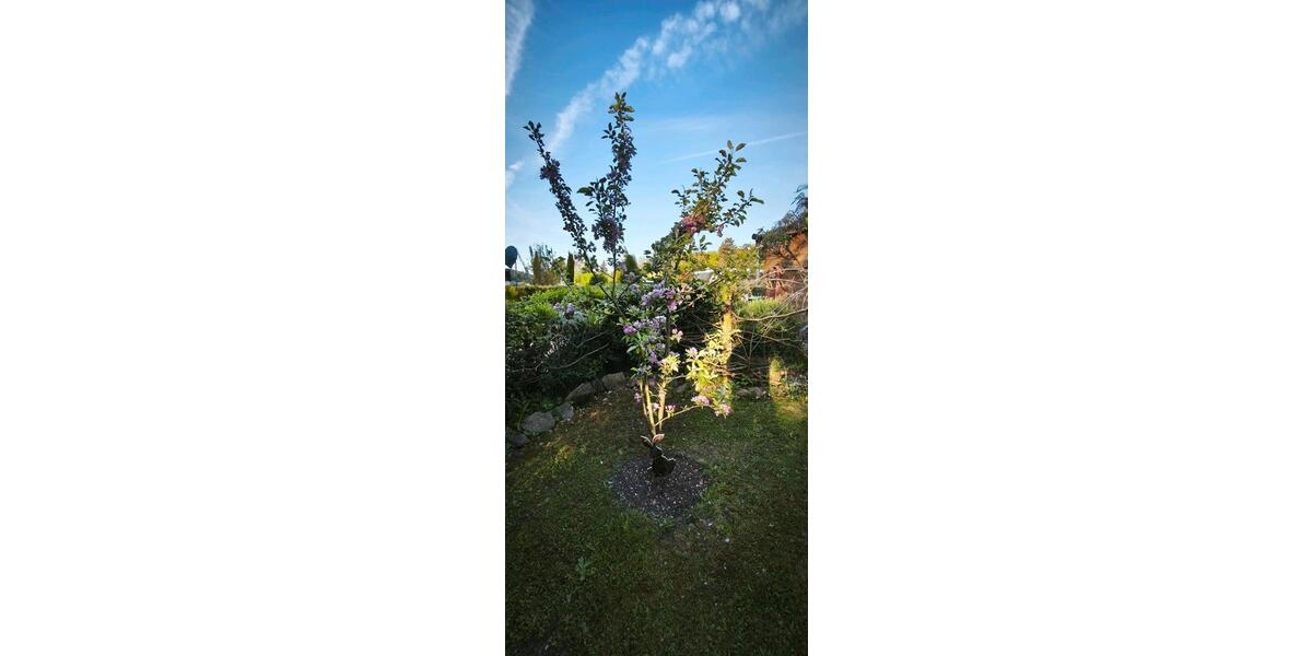 Bungalow Neuhausen - 3 Zimmer, 70 m&sup2;, 320.000&euro; | Angebot:26522170