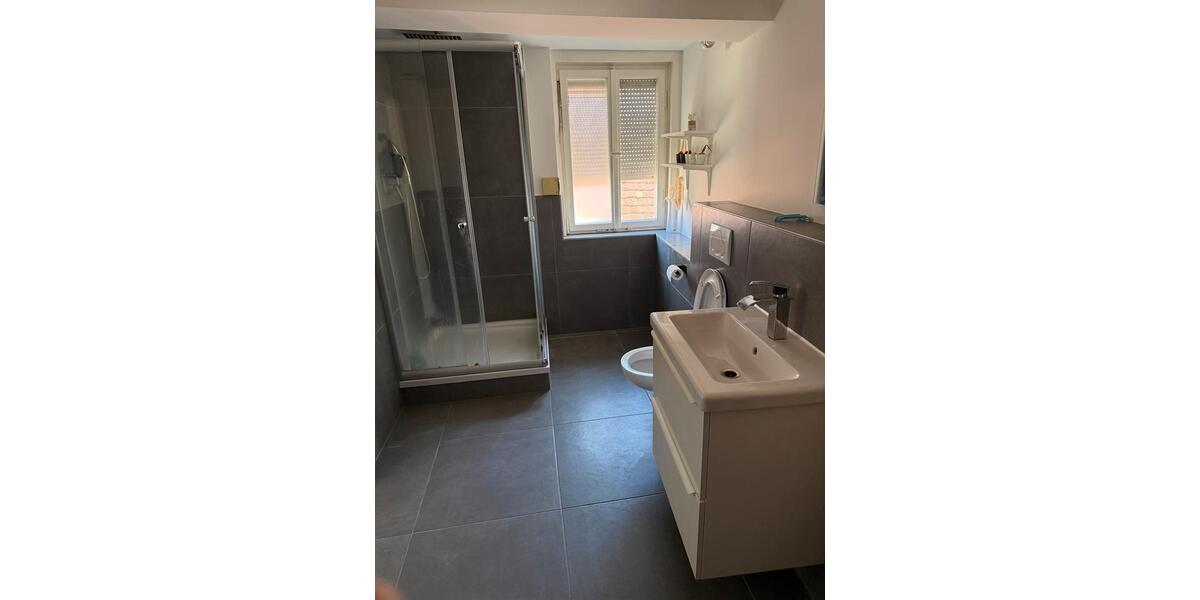 Dachgeschoßwohnung Stuttgart Luginsland - 2 Zimmer, 55 m&sup2;, 1.050&euro; | Angebot:26055807