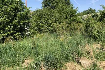 Grundstück Reudern Reudern - 220.000&euro; | Angebot:20299773