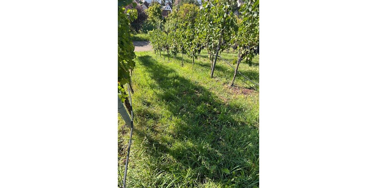 Grundstück Stuttgart Hedelfingen - 112&euro; | Angebot:26313429