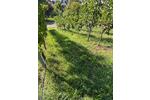 Grundstück Stuttgart Hedelfingen - 112&euro; | Angebot:26313429