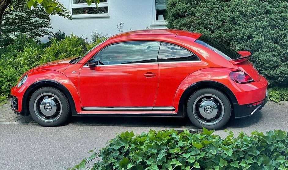 Beetle