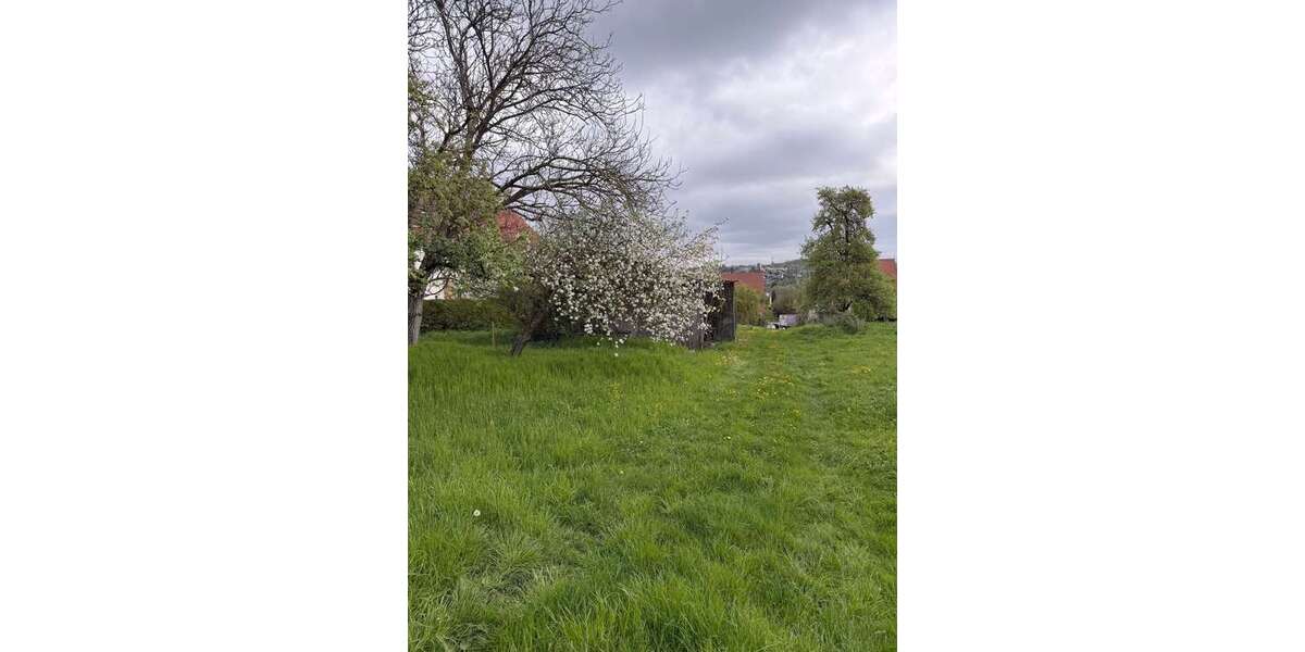 Grundstück Hochdorf - 290.000&euro; | Angebot:26271344