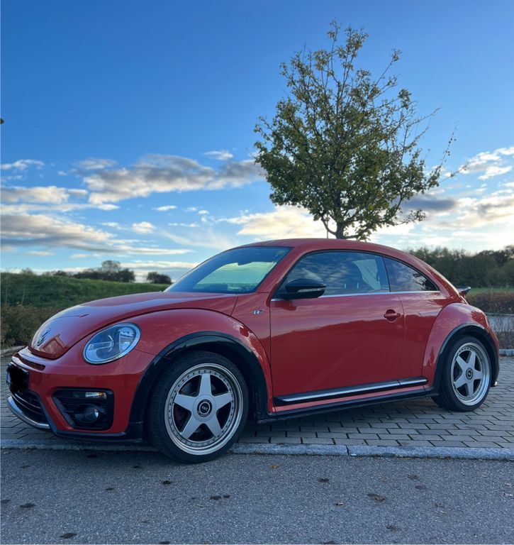 Beetle