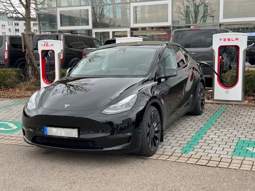 Model Y