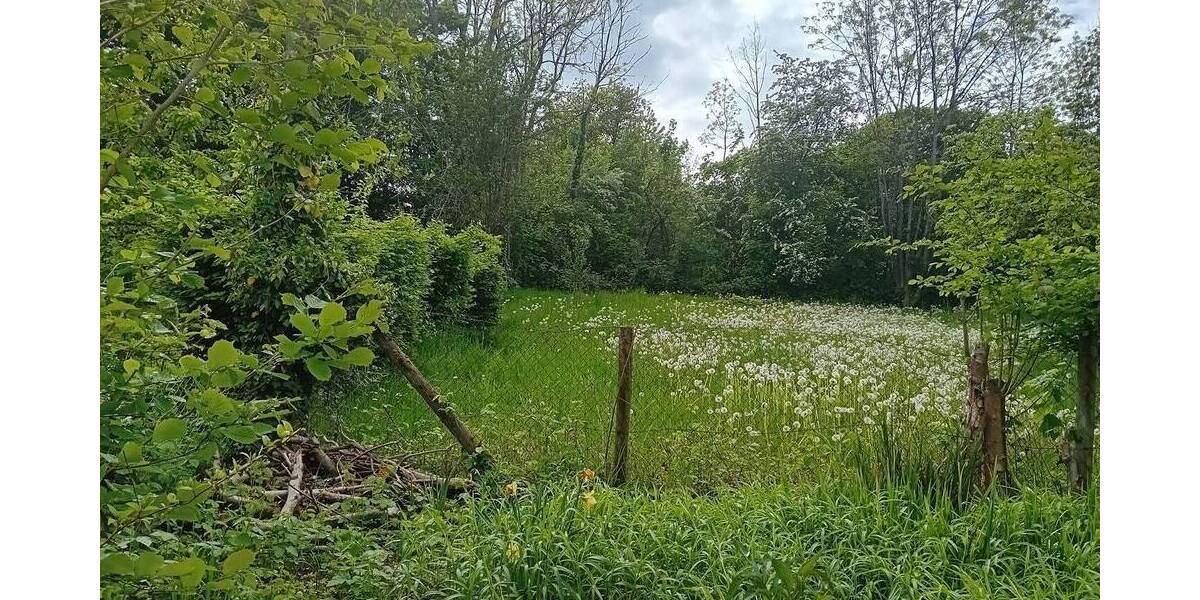 Grundstück Schorndorf - 16.000&euro; | Angebot:25815483