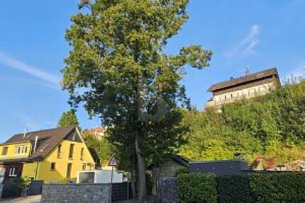 VIELSEITIGER RAUM FÜR LEBEN UND ARBEIT IN TOP-LAGE - Grundstück Steinheim an der Murr | Angebot:25248209