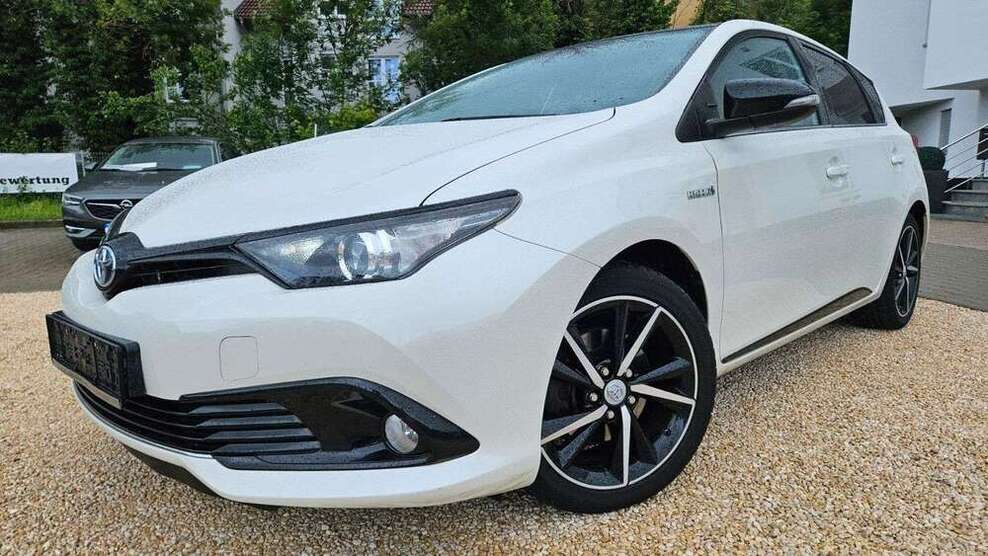 Auris