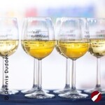 Mit allen Sinnen - Kunst & Geschmack