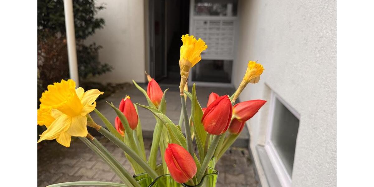 Etagenwohnung Stuttgart Degerloch - 3.5 Zimmer, 80 m&sup2;, 1.690&euro; | Angebot:25152049