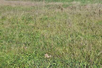 Grundstück zu verkaufen in Schönaich 440.000 € 442 m² zimmer