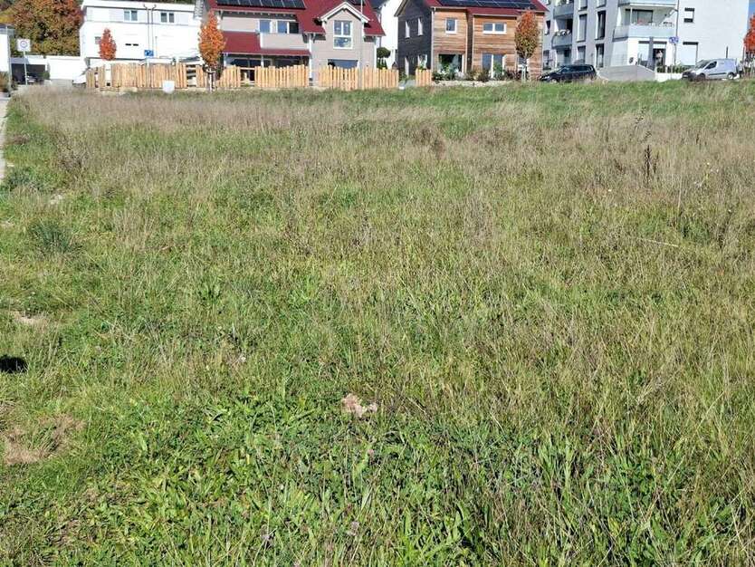 Grundstück zu verkaufen in Schönaich 440.000 € 442 m² zimmer