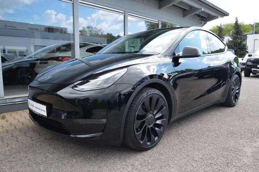 Model Y