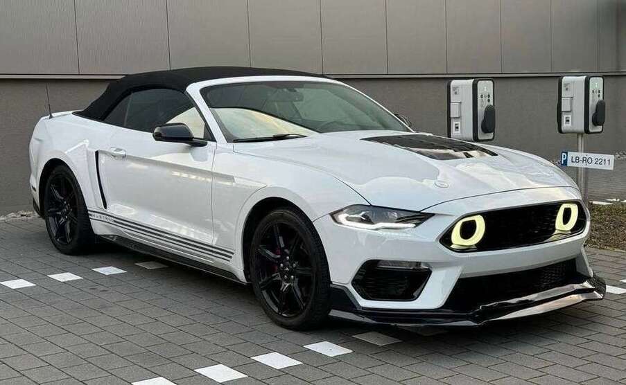 Mustang