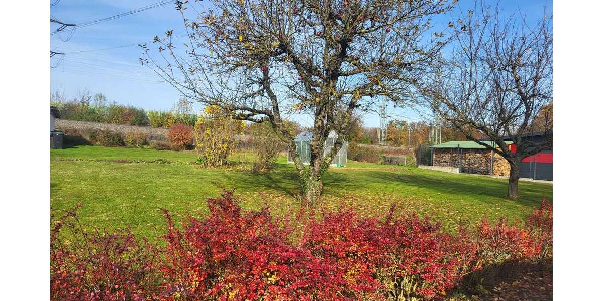 Grundstück Ehningen - 450.000&euro; | Angebot:24156094