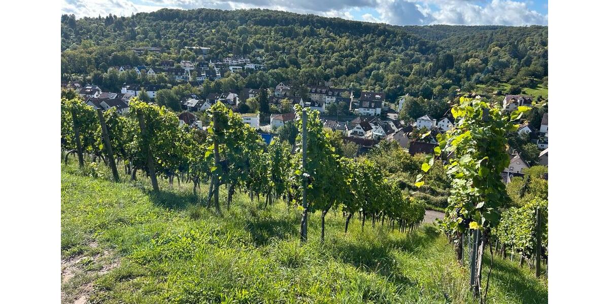 Grundstück Stuttgart Hedelfingen - 112&euro; | Angebot:26313429
