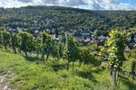 Grundstück Stuttgart Hedelfingen - 112&euro; | Angebot:26313429