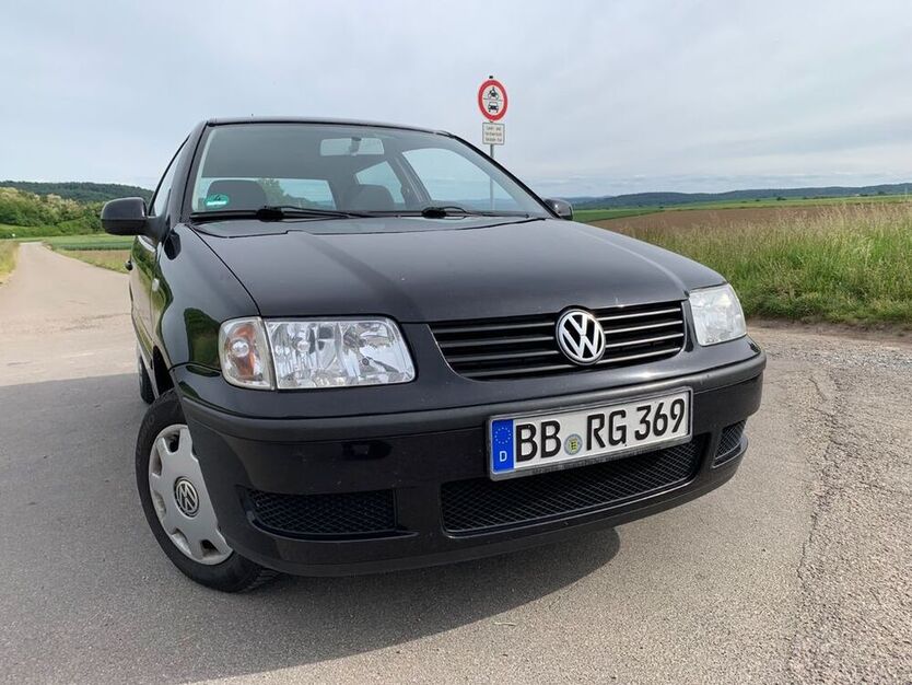 Polo