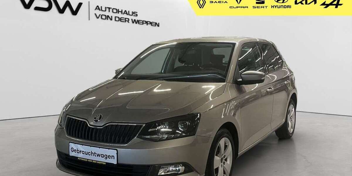 Skoda Fabia 95.000 km 10.900 &euro; Stuttgart 70469