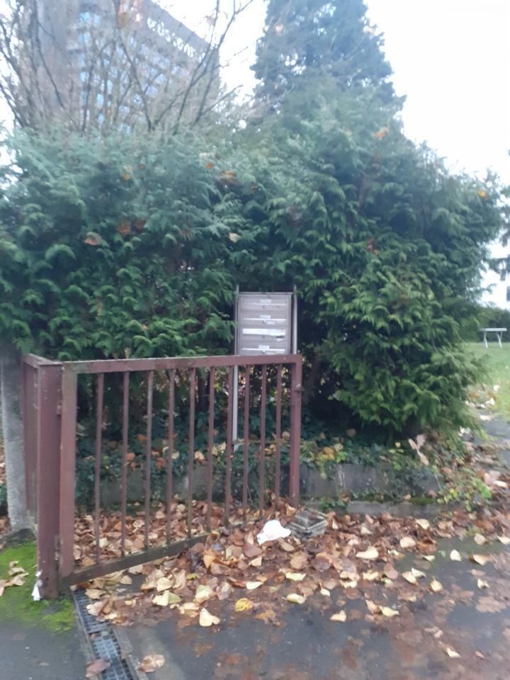 1 Zimmer anmelden zu Vermieten in Ludwigsburg