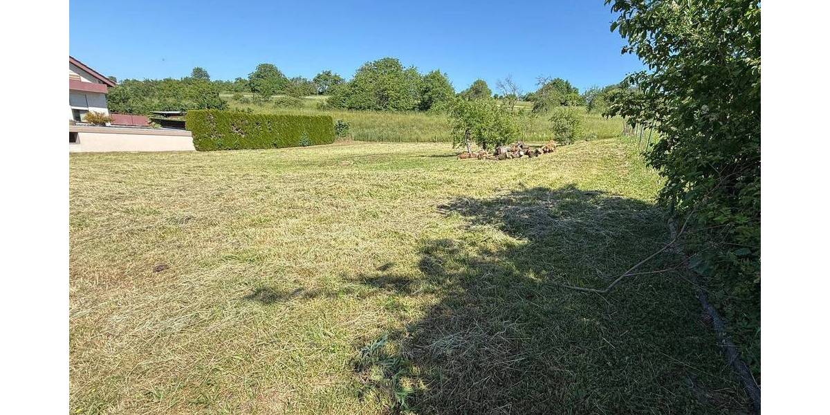 Grundstück Notzingen - 850.000&euro; | Angebot:26881740