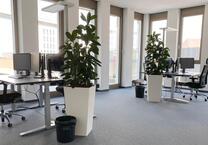 Sehr flexible und moderne Büroräume und Arbeitsplätze - All-in-Miete