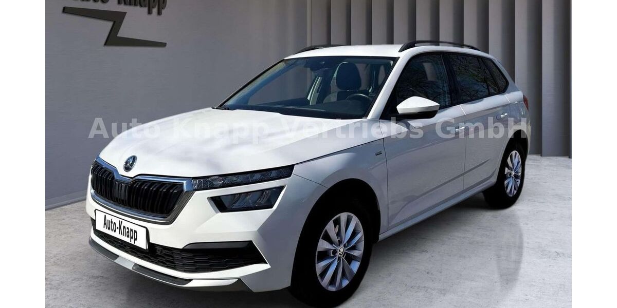 Skoda Kamiq 99.600 km 17.990 &euro; Aichwald 73773
