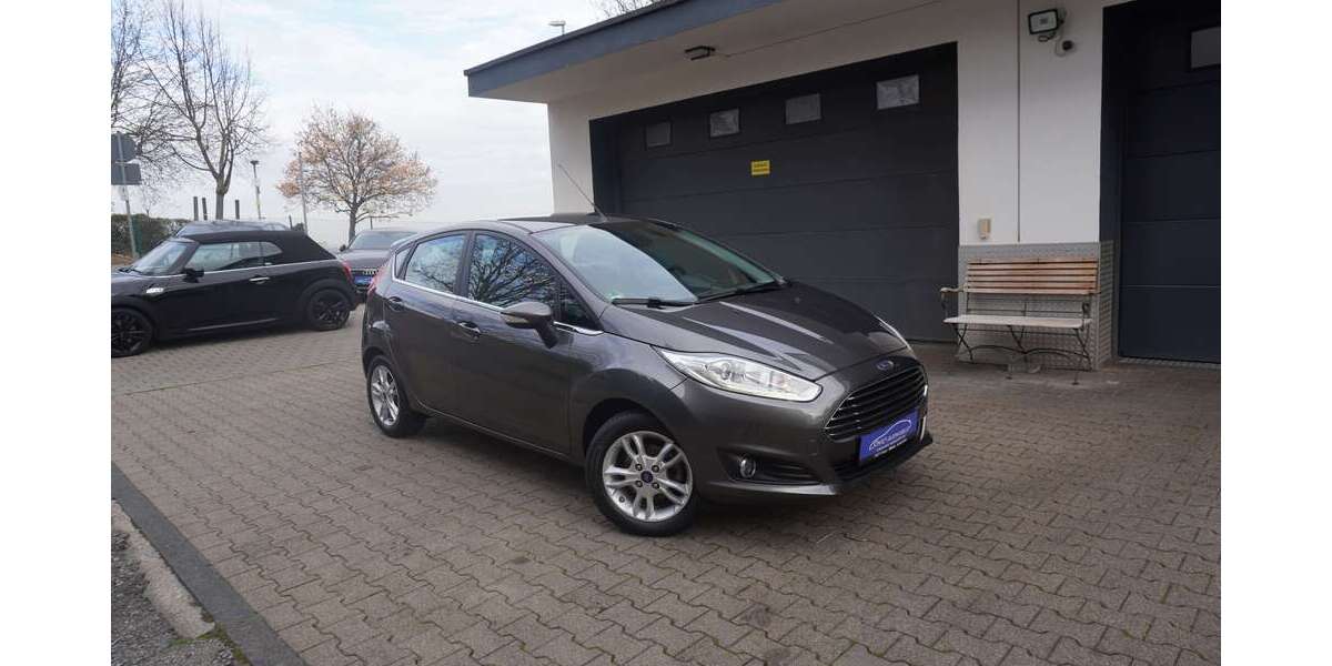 Ford Fiesta 65.000 km 6.999 € Owen 73277