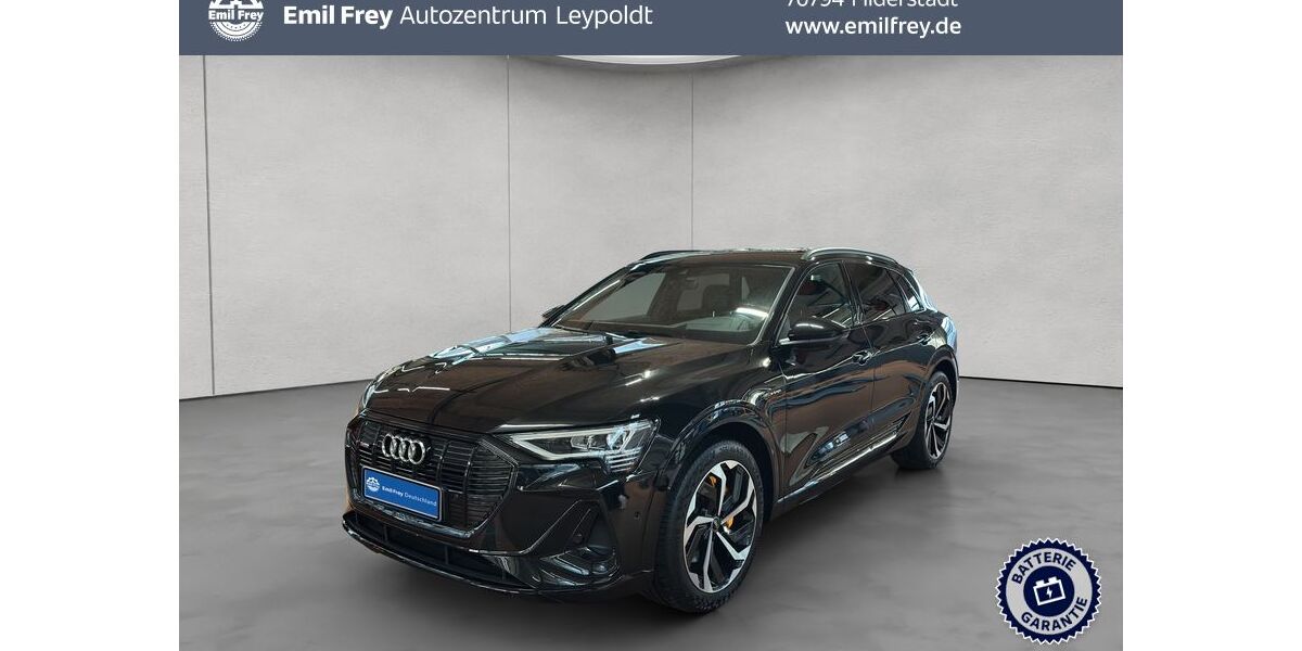 Audi e-tron 49.492 km 28.890 &euro; Filderstadt 70794