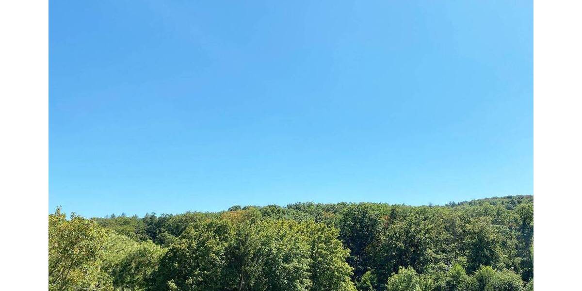 Etagenwohnung Stuttgart Botnang - 5 Zimmer, 235 m&sup2;, 3.725&euro; | Angebot:26129497