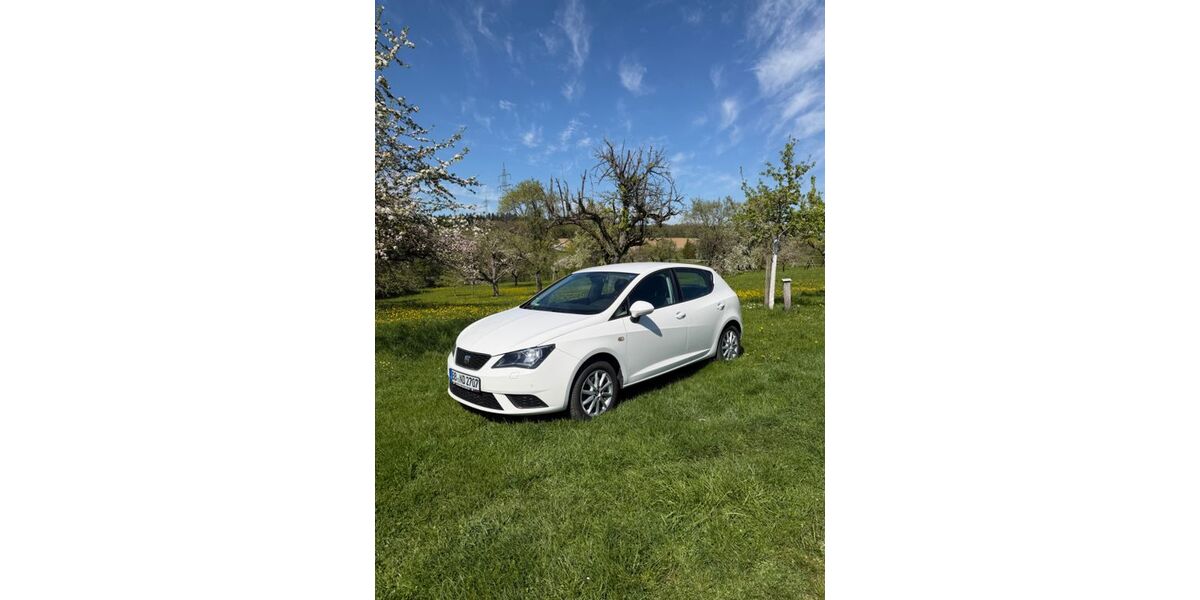 Seat Ibiza 80.000 km 10.000 &euro; Stuttgart 70191
