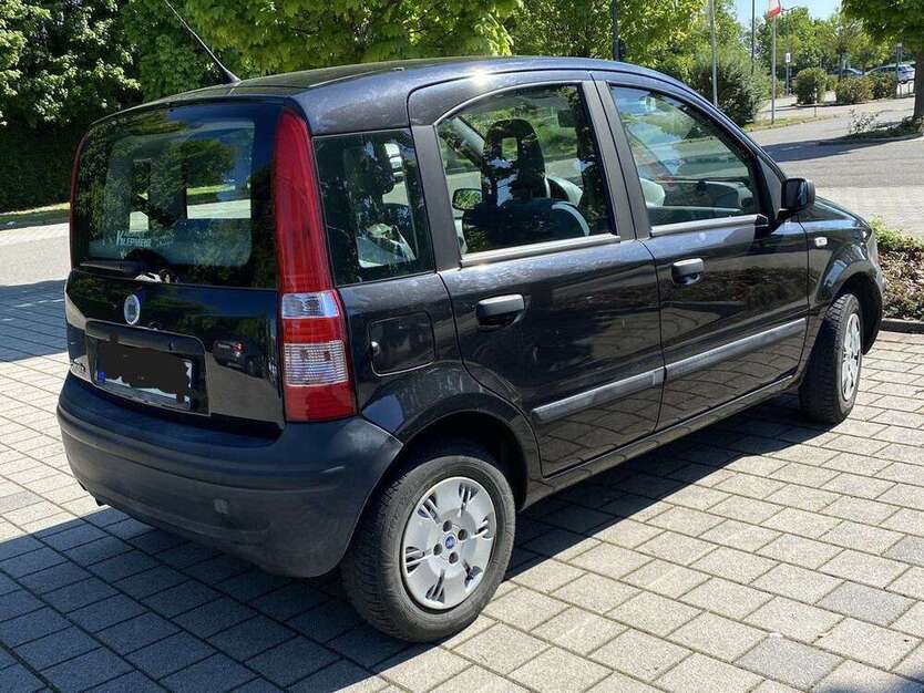 Panda