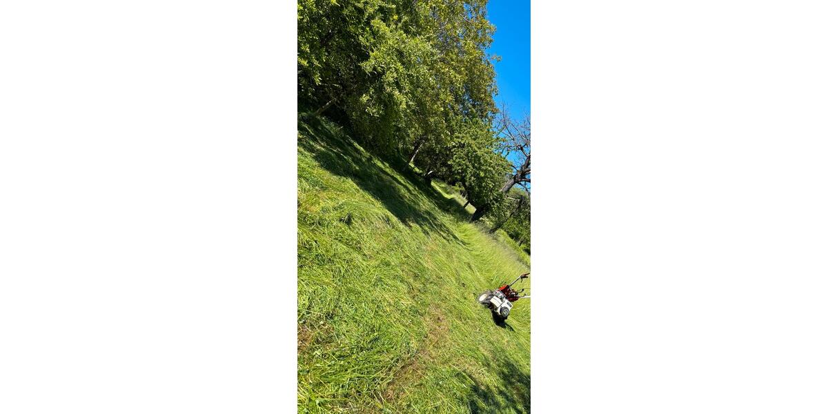 WiesengrundstückGartenWieseStückle bei Esslingen - KaufPacht zimmer