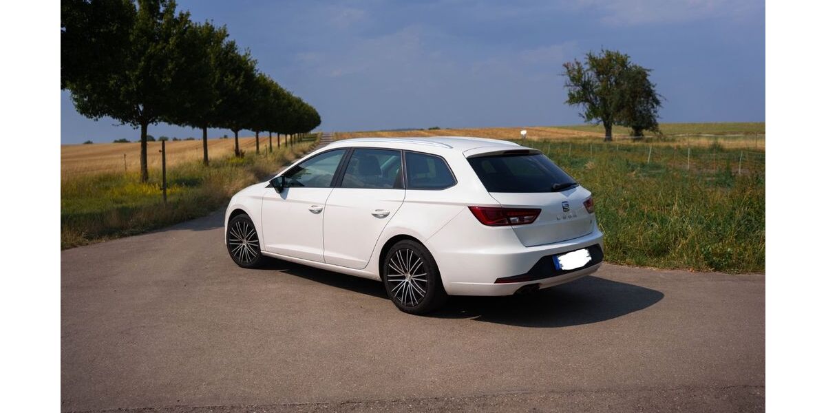 Seat Leon 187.000 km 9.300 &euro; Gärtringen 71116