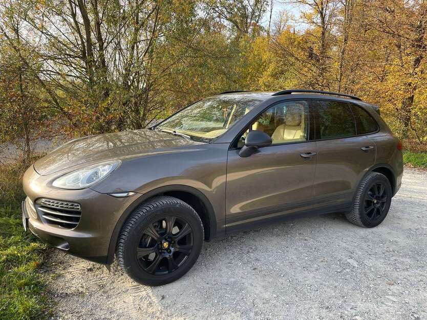 Cayenne