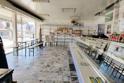 Gewerbeobjekt Baltmannsweiler - 239.000&euro; | Angebot:10166411