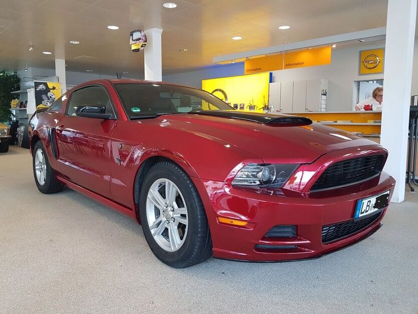 Mustang