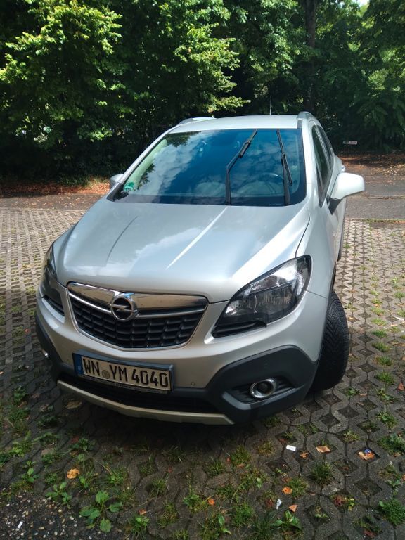 Mokka