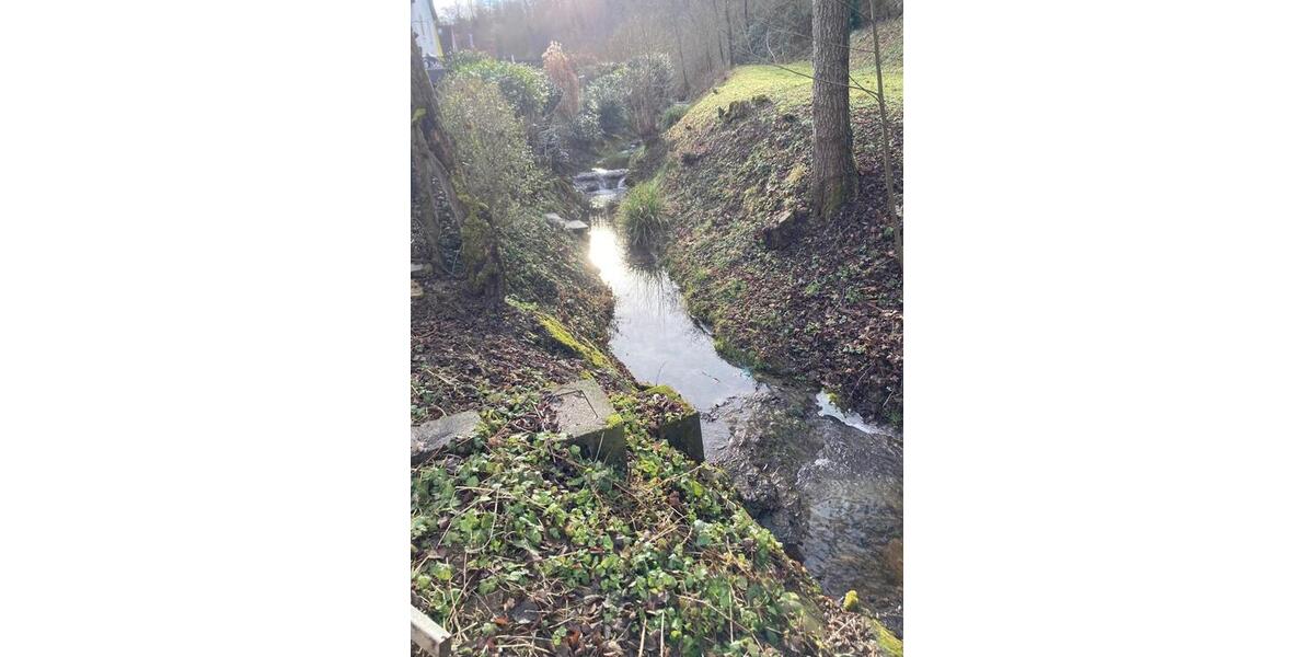 Frisch renovierte 1-Zimmer Wohnung im EG in Marbach am Neckar 1 zimmer