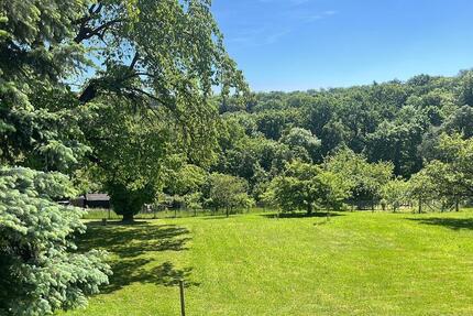 Wohnung Stuttgart Sillenbuch - 2 Zimmer, 49 m&sup2;, 650&euro; | Angebot:25319688